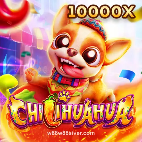 fachai_chihuahua_portrait